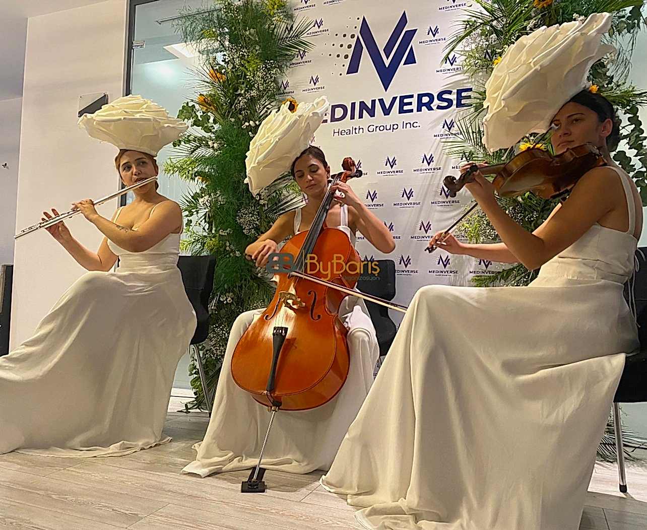 Gösteri Müzik Grupları - Trio Grubu - Bando Ekibi